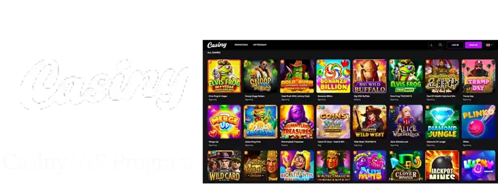 Casiny VIP Program Casiny